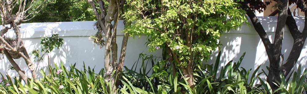 Number5 Guesthouse Κέιπ Τάουν Εξωτερικό φωτογραφία